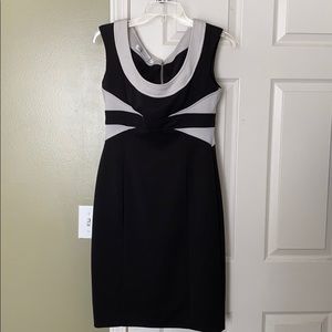 Maggy London Size 8 Knee Length Dress